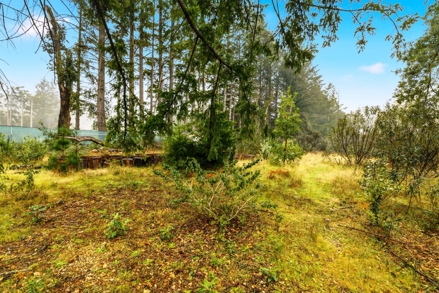 60 Braemoor Drive, Santa Cruz, CA, 95060