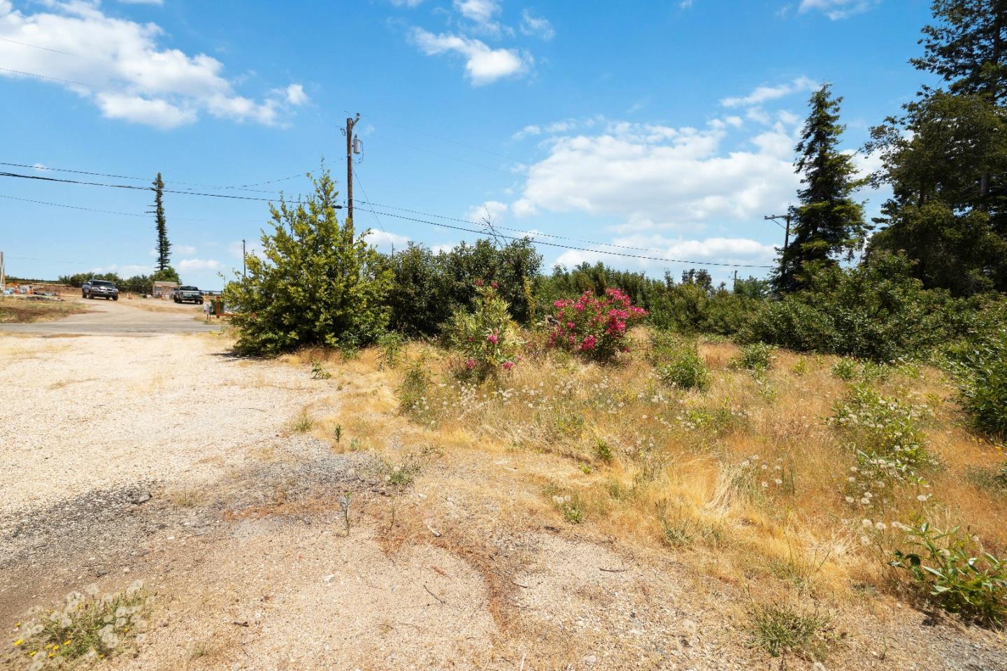 Detail Gallery Image 7 of 19 For 60 Braemoor Dr, Santa Cruz,  CA 95060 - – Beds | – Baths