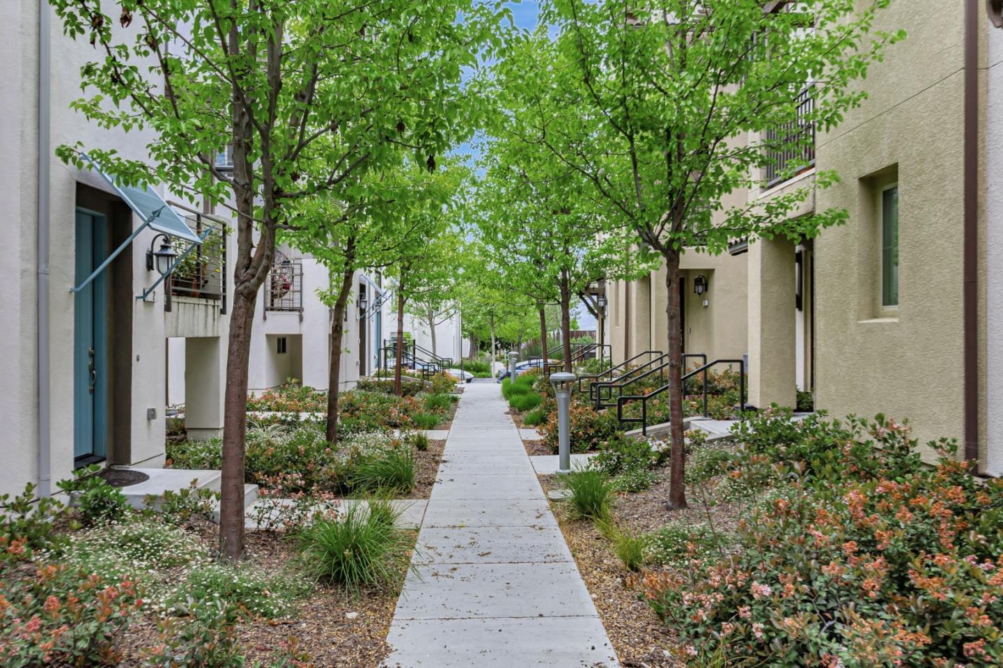 Detail Gallery Image 2 of 41 For 223 William Manly St #1,  San Jose,  CA 95136 - 3 Beds | 3 Baths