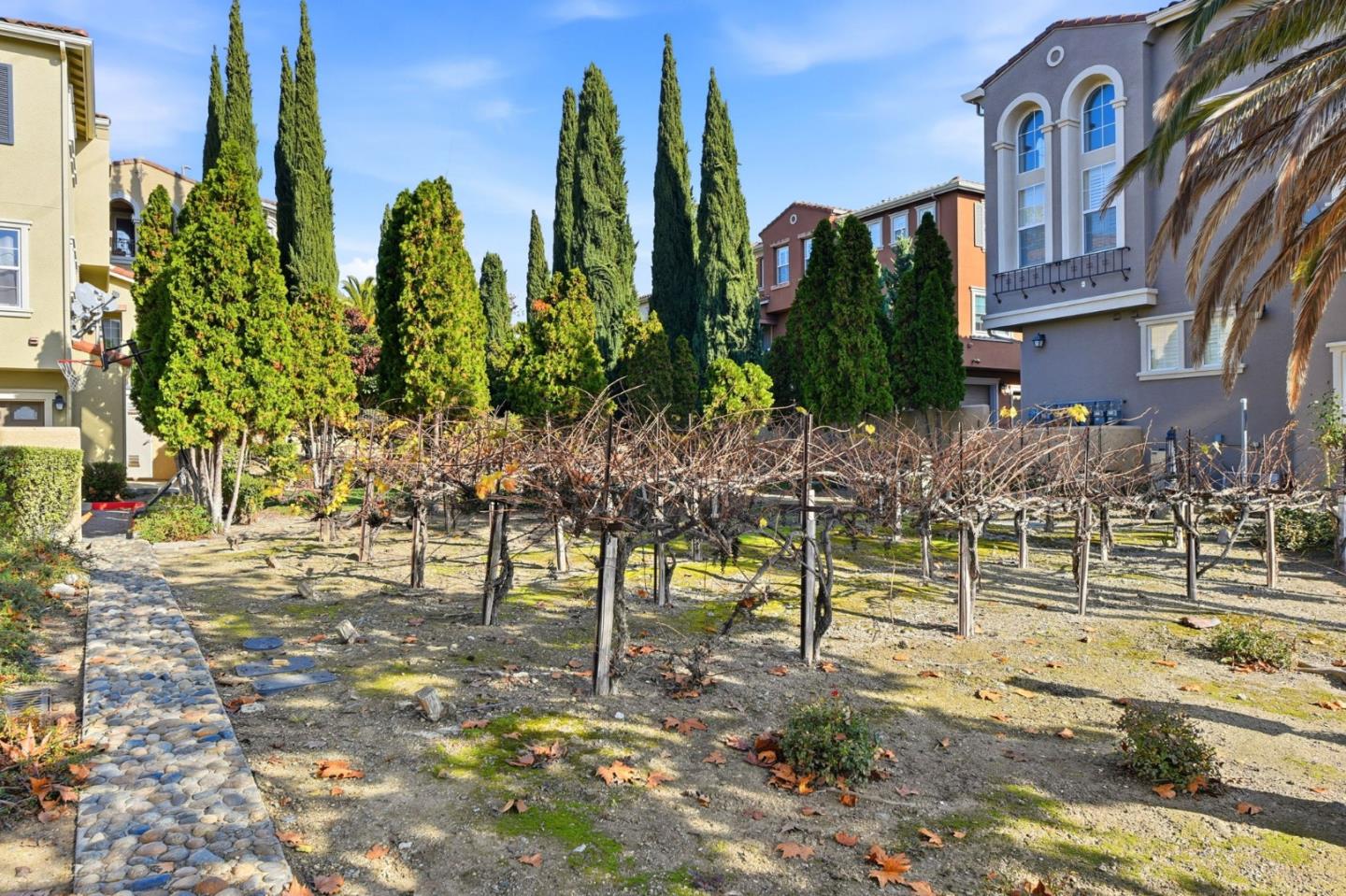 Detail Gallery Image 47 of 80 For 3027 Manuel St #3,  San Jose,  CA 95136 - 2 Beds | 2 Baths