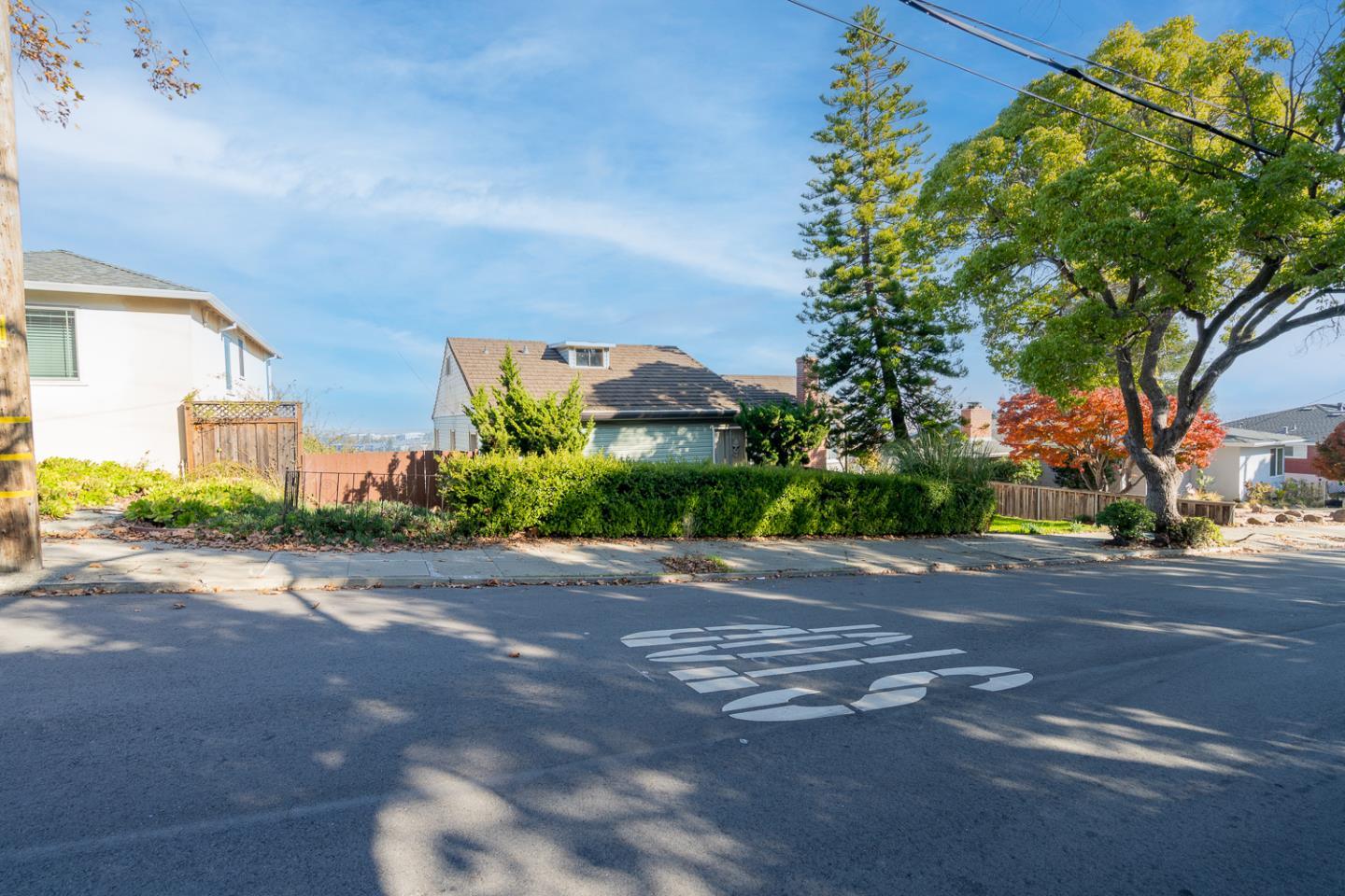 Detail Gallery Image 2 of 13 For 265 Chestnut St, San Carlos,  CA 94070 - 3 Beds | 1 Baths