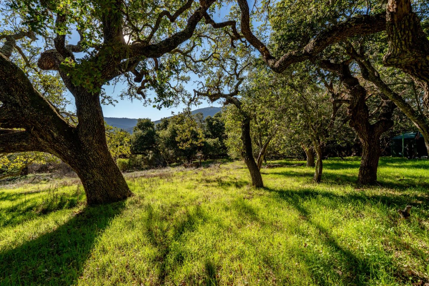 Detail Gallery Image 8 of 15 For 0 La Rancheria, Carmel Valley,  CA 93924 - – Beds | – Baths