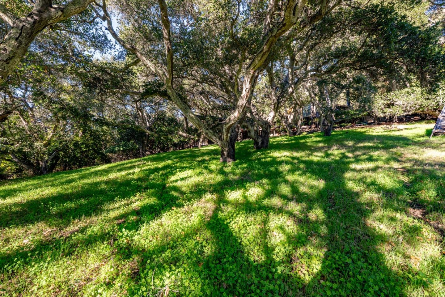 Detail Gallery Image 9 of 15 For 0 La Rancheria, Carmel Valley,  CA 93924 - – Beds | – Baths