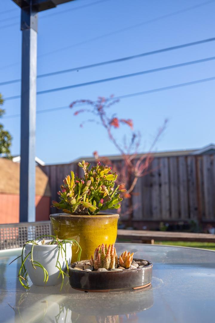 Detail Gallery Image 37 of 50 For 3276 Andora Dr, San Jose,  CA 95148 - 3 Beds | 2 Baths