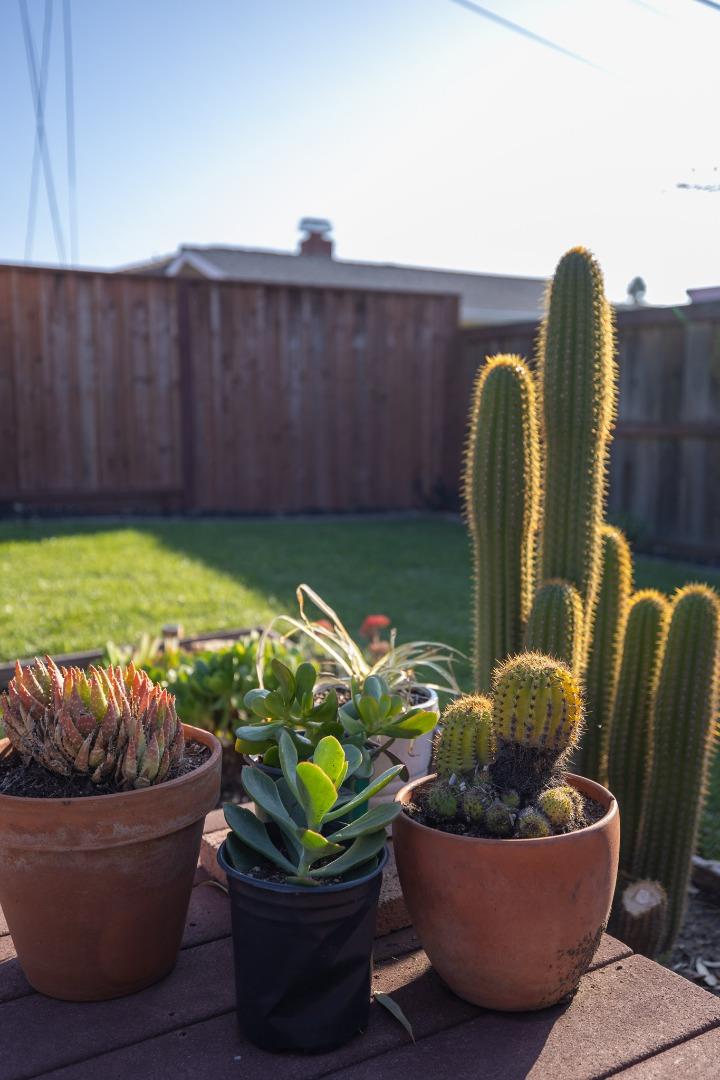 Detail Gallery Image 38 of 50 For 3276 Andora Dr, San Jose,  CA 95148 - 3 Beds | 2 Baths