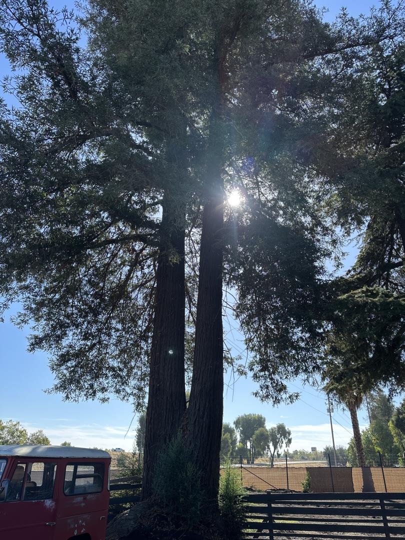 Detail Gallery Image 18 of 29 For 5985 Monterey Rd, Gilroy,  CA 95020 - 3 Beds | 2 Baths