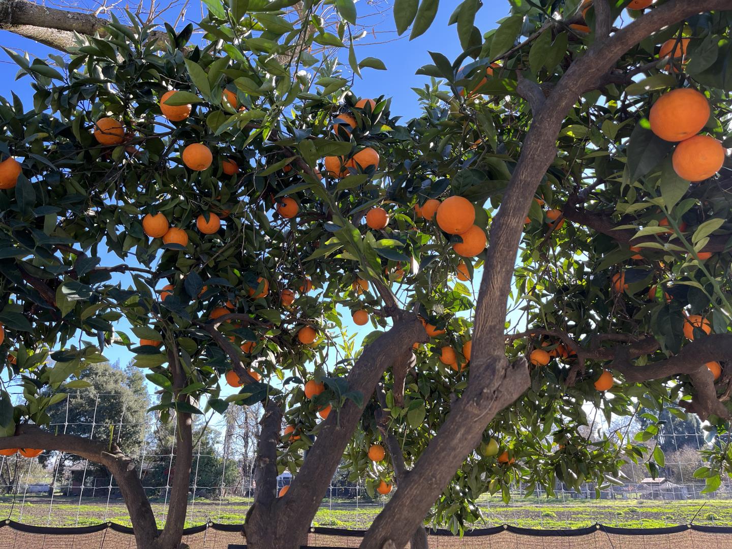 Detail Gallery Image 27 of 29 For 5985 Monterey Rd, Gilroy,  CA 95020 - 3 Beds | 2 Baths