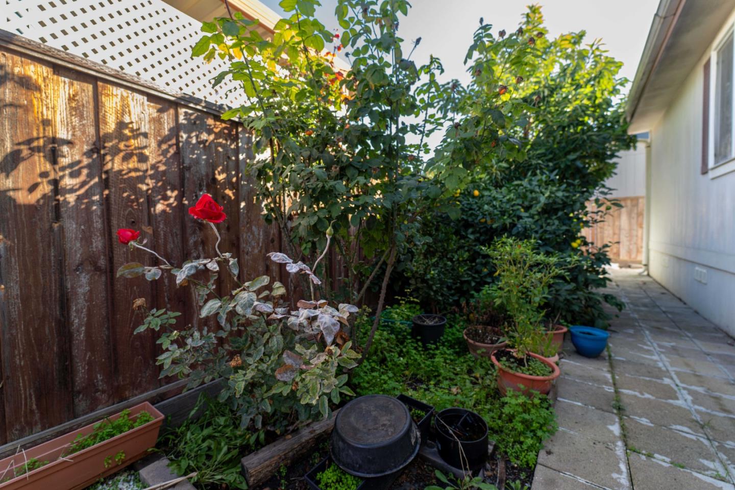 Detail Gallery Image 23 of 28 For 3637 Snell Ave #390,  San Jose,  CA 95136 - 3 Beds | 2 Baths