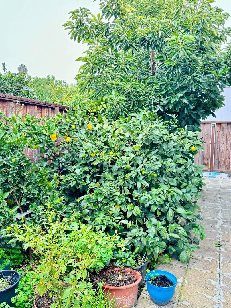 Detail Gallery Image 28 of 28 For 3637 Snell Ave #390,  San Jose,  CA 95136 - 3 Beds | 2 Baths