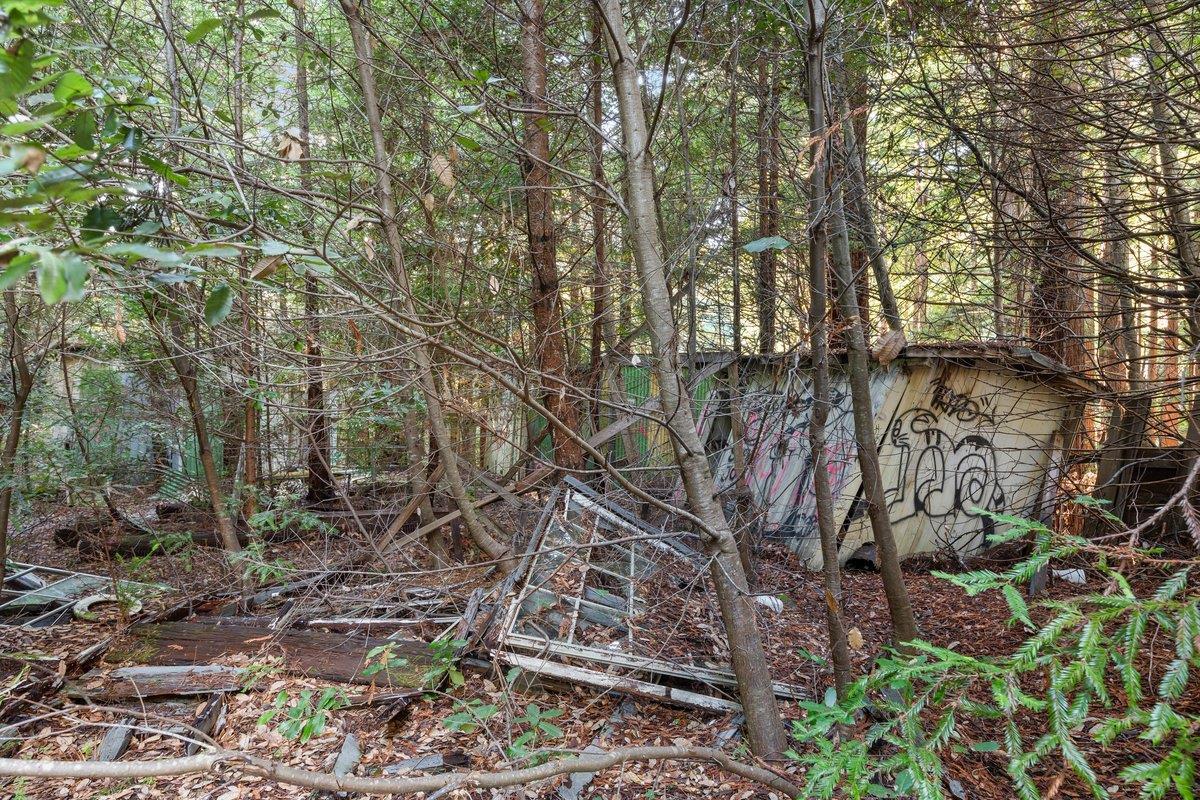 Detail Gallery Image 14 of 23 For 3936 Tunitas Creek Rd, Half Moon Bay,  CA 94019 - 0 Beds | 0 Baths