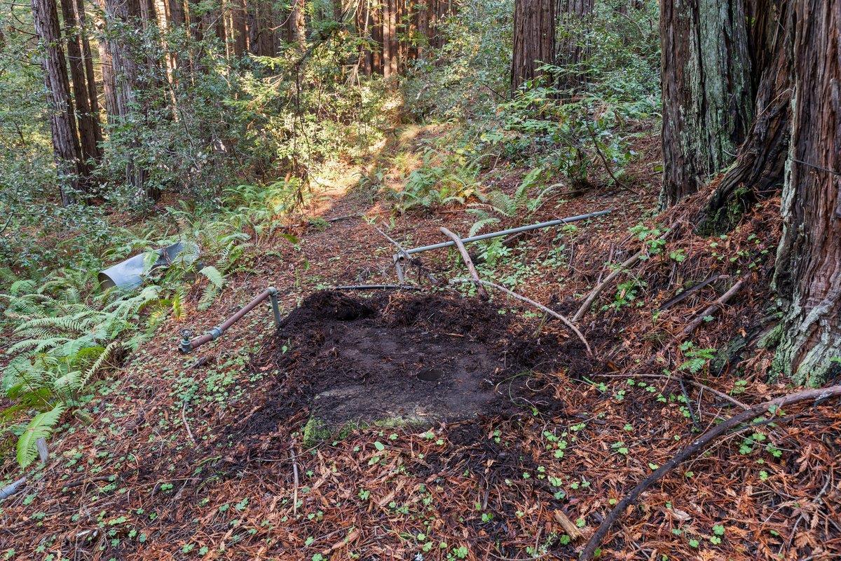 Detail Gallery Image 18 of 23 For 3936 Tunitas Creek Rd, Half Moon Bay,  CA 94019 - 0 Beds | 0 Baths