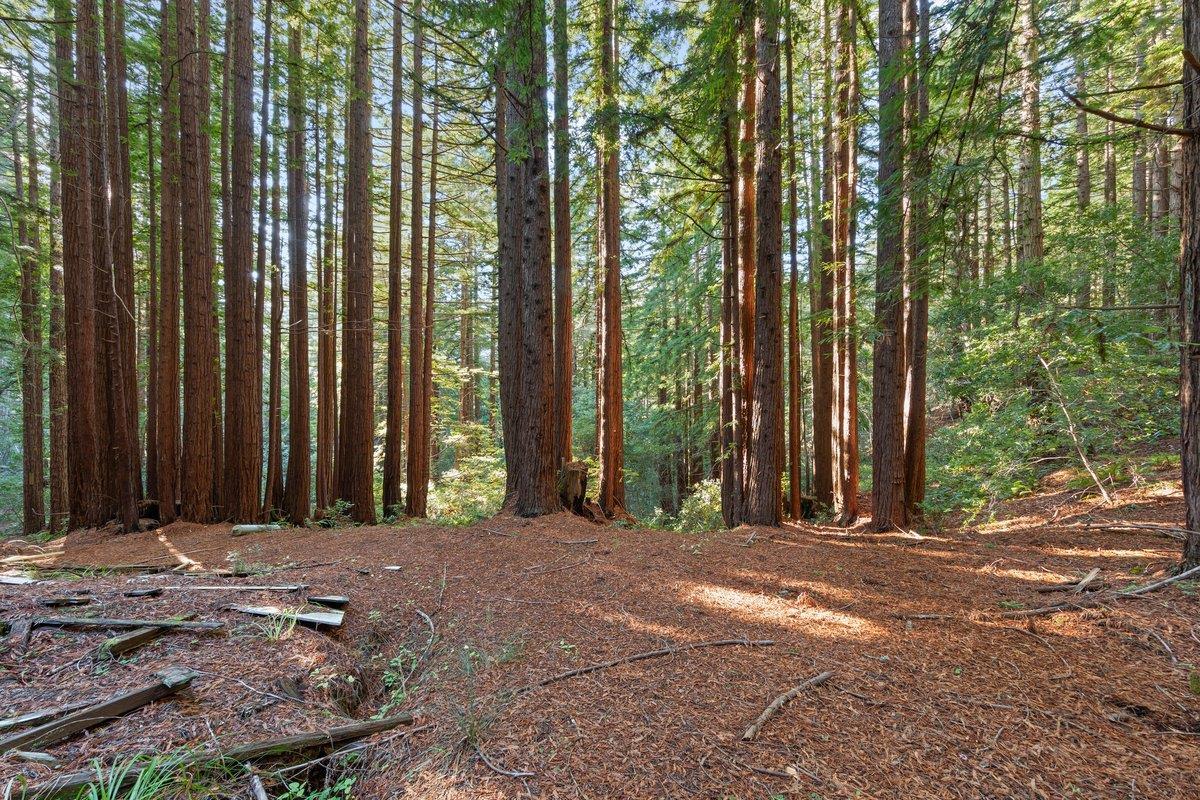 Detail Gallery Image 19 of 23 For 3936 Tunitas Creek Rd, Half Moon Bay,  CA 94019 - 0 Beds | 0 Baths