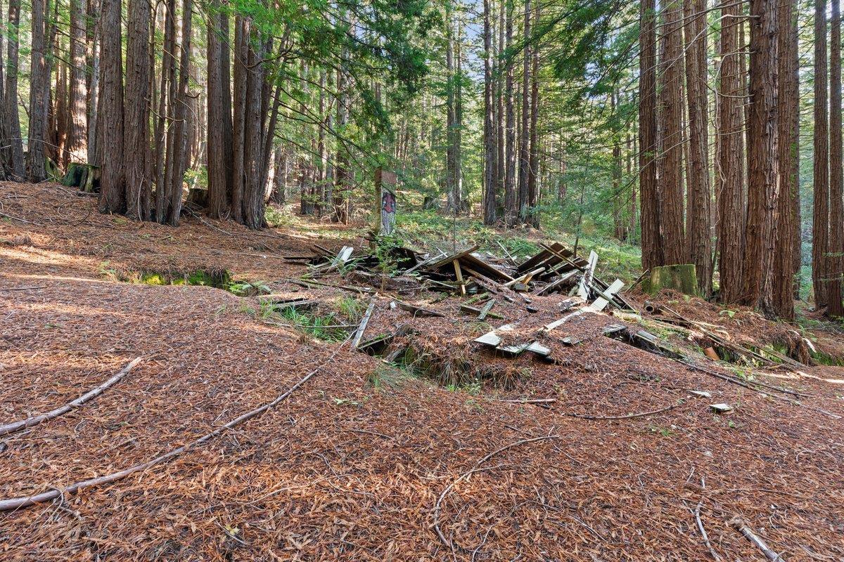 Detail Gallery Image 20 of 23 For 3936 Tunitas Creek Rd, Half Moon Bay,  CA 94019 - 0 Beds | 0 Baths