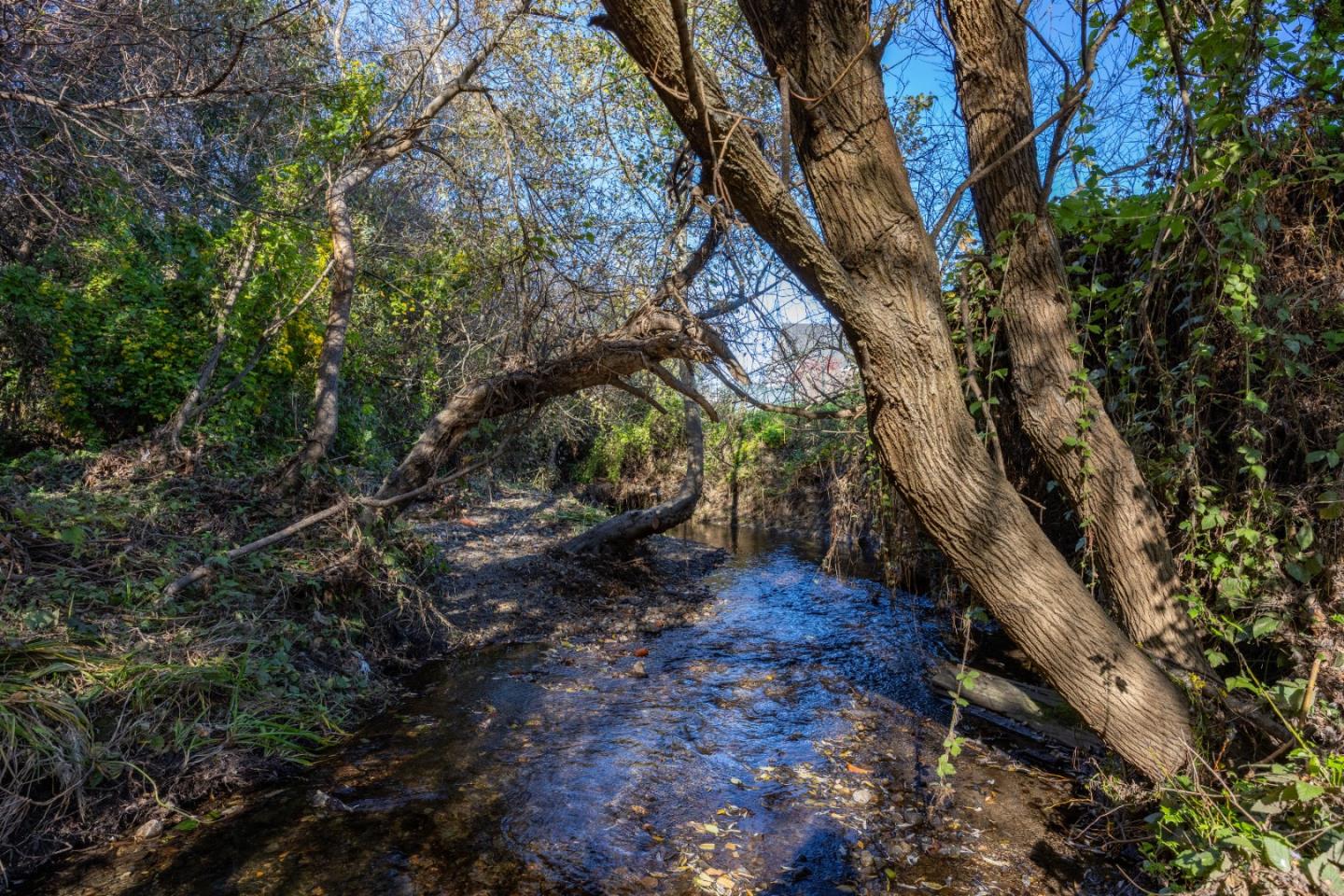 Detail Gallery Image 28 of 31 For 1444 Flores Dr, Pacifica,  CA 94044 - 3 Beds | 1 Baths