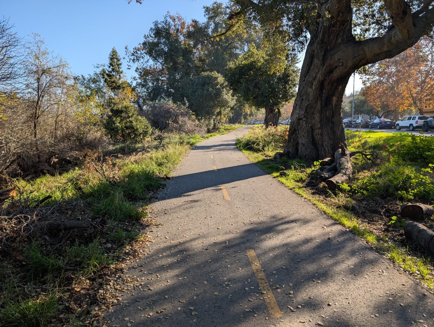 Detail Gallery Image 11 of 14 For 6937 Rodling Dr #C,  San Jose,  CA 95138 - 2 Beds | 2/1 Baths