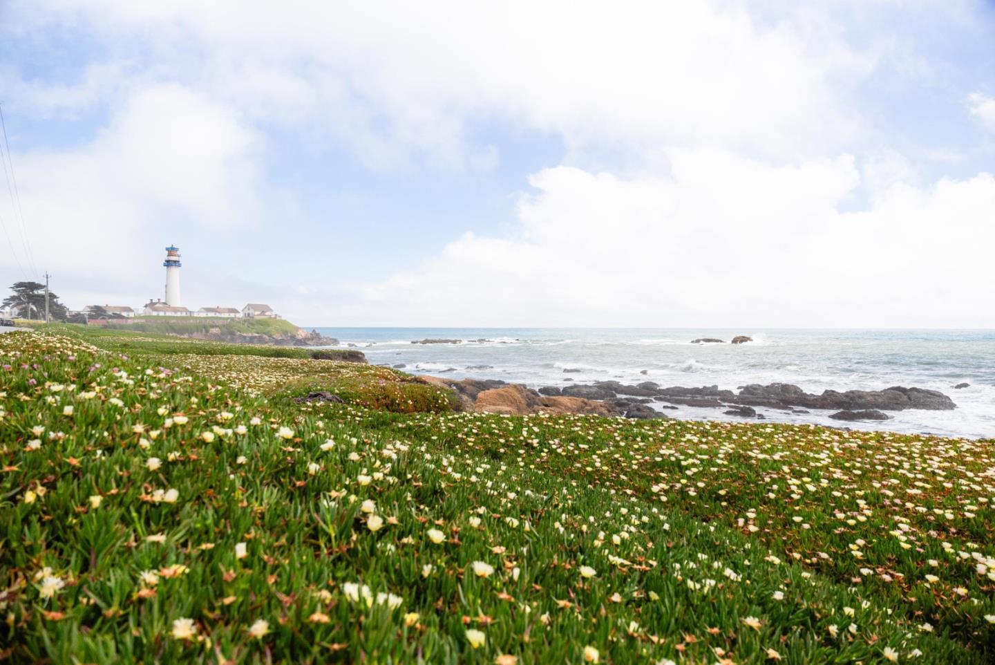 Detail Gallery Image 61 of 69 For 801 Bean Hollow Rd, Pescadero,  CA 94060 - 6 Beds | 4 Baths