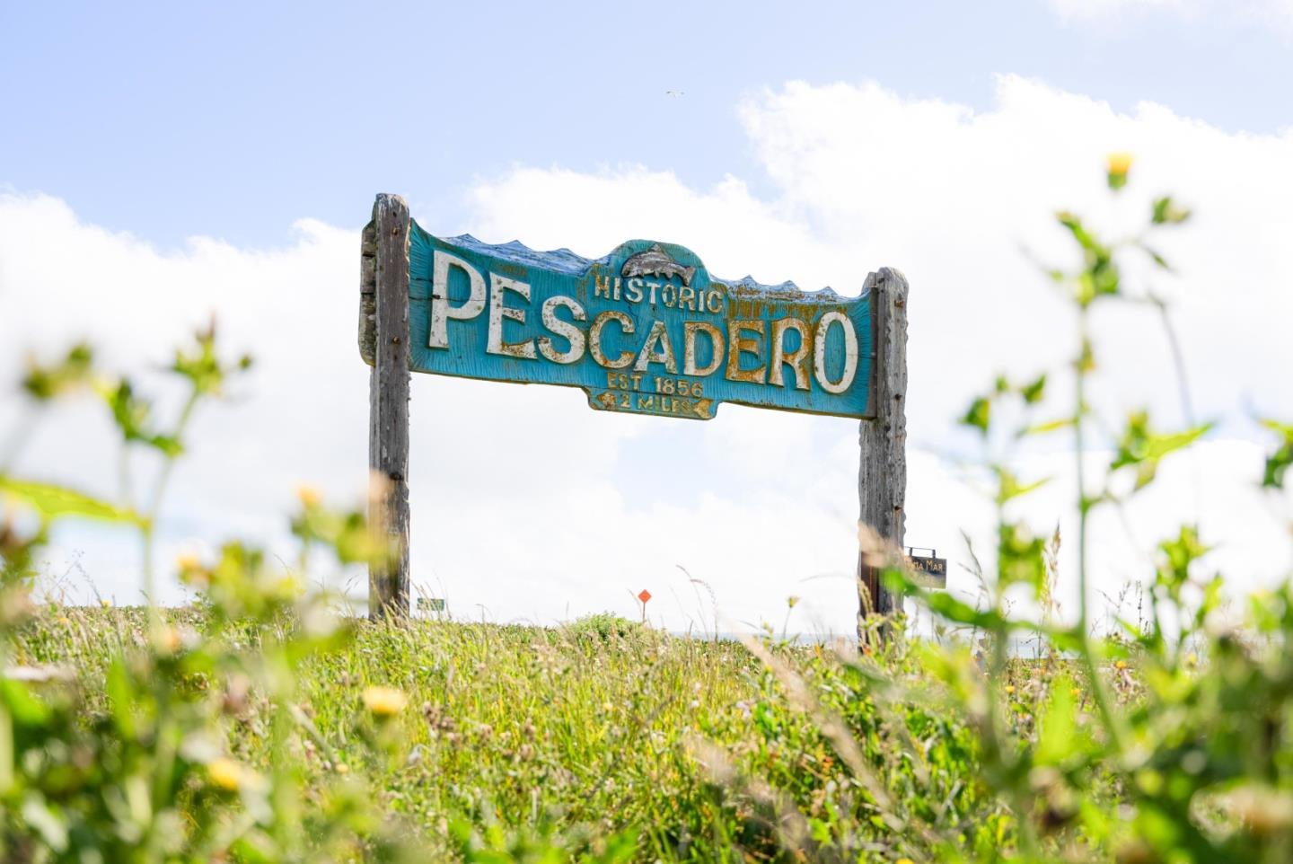 Detail Gallery Image 65 of 69 For 801 Bean Hollow Rd, Pescadero,  CA 94060 - 6 Beds | 4 Baths