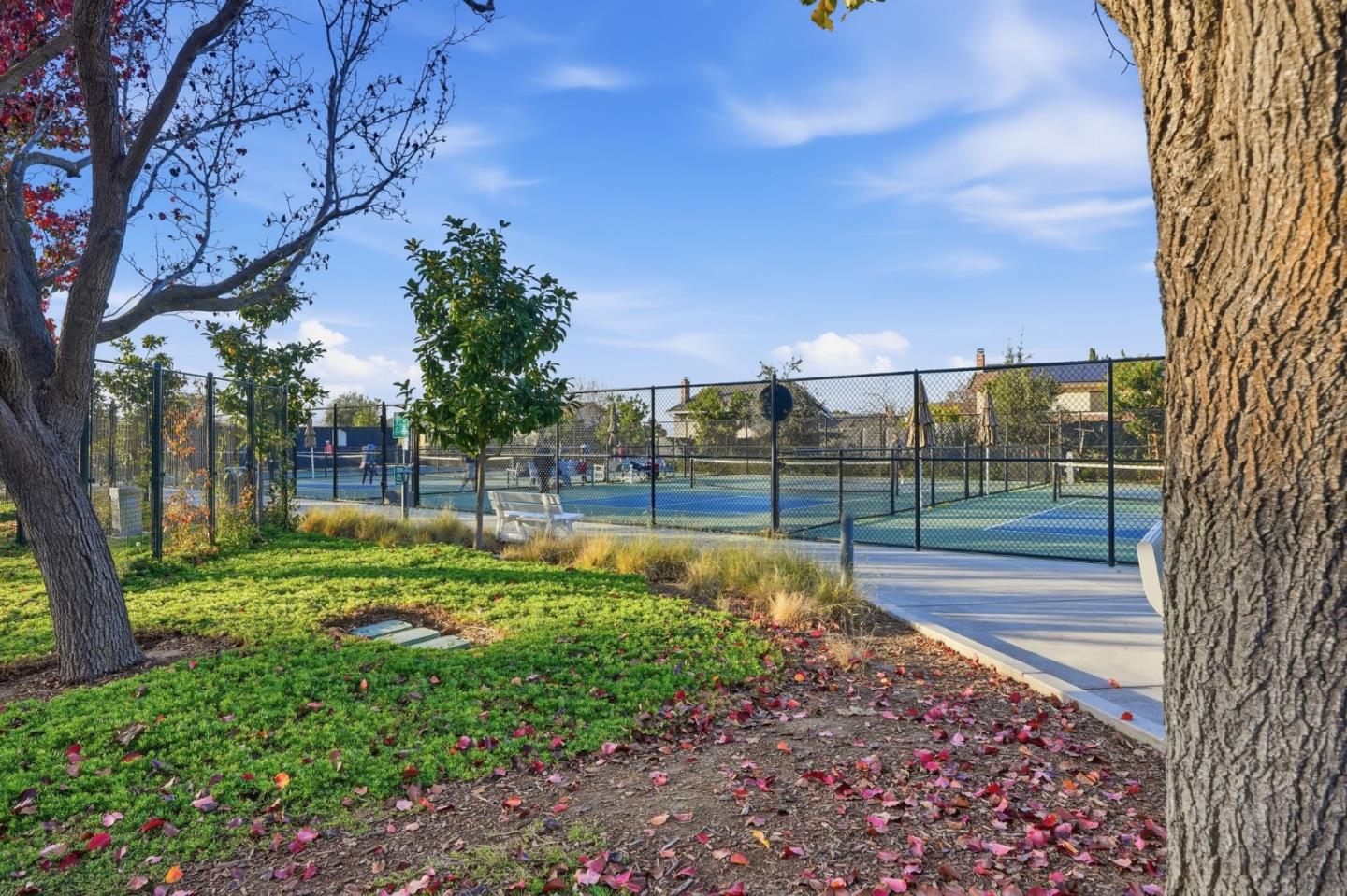 Photo #14: ML82029412 Listing: Photo #14