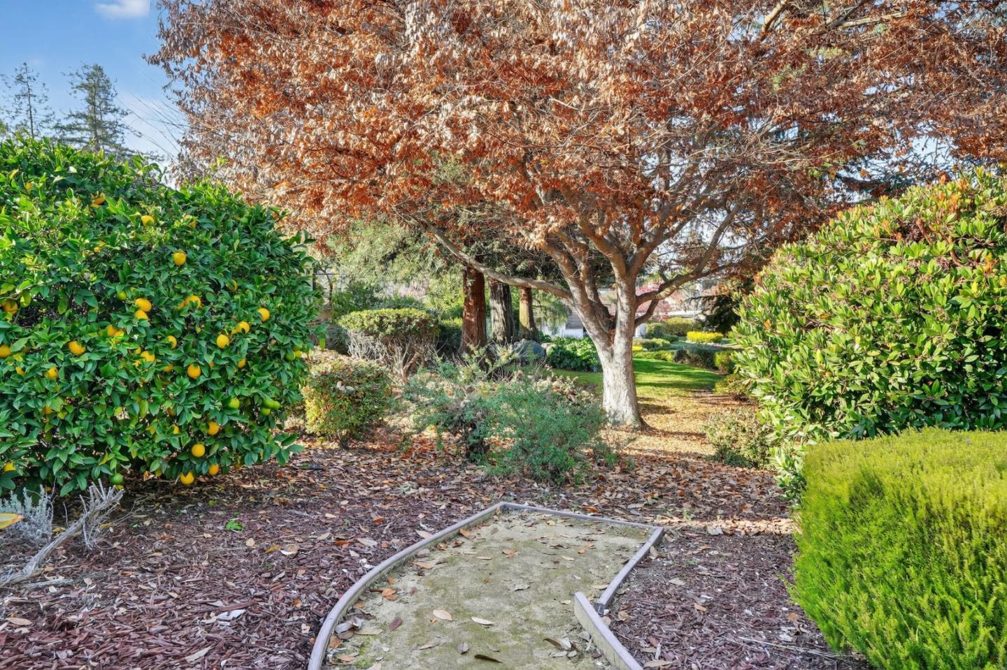 Photo #49: ML82029412 Listing: Photo #49