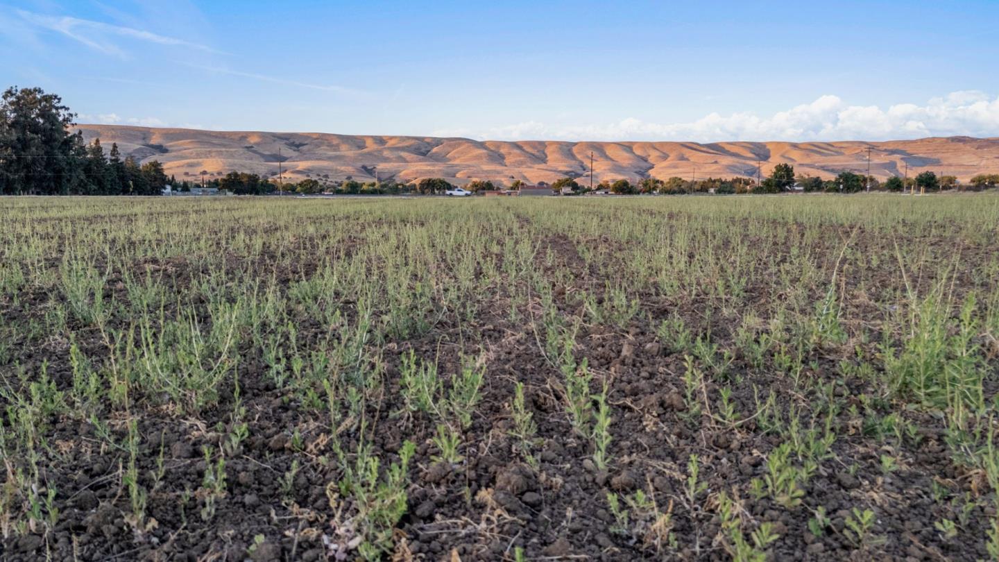 Detail Gallery Image 13 of 14 For 0000 Palm Ave, Morgan Hill,  CA 95037 - – Beds | – Baths