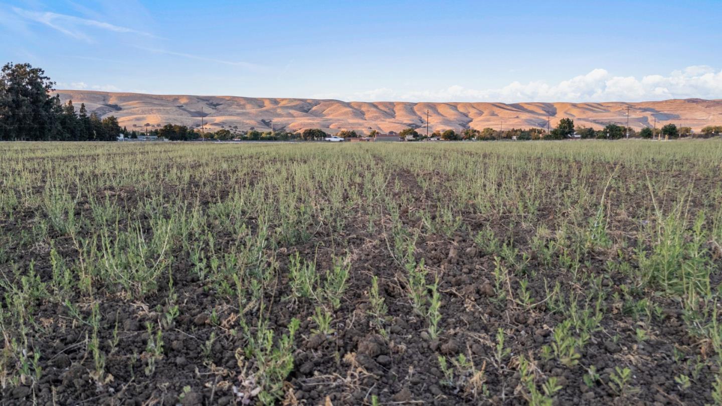 Detail Gallery Image 12 of 12 For 00 Palm Ave, Morgan Hill,  CA 95037 - – Beds | – Baths