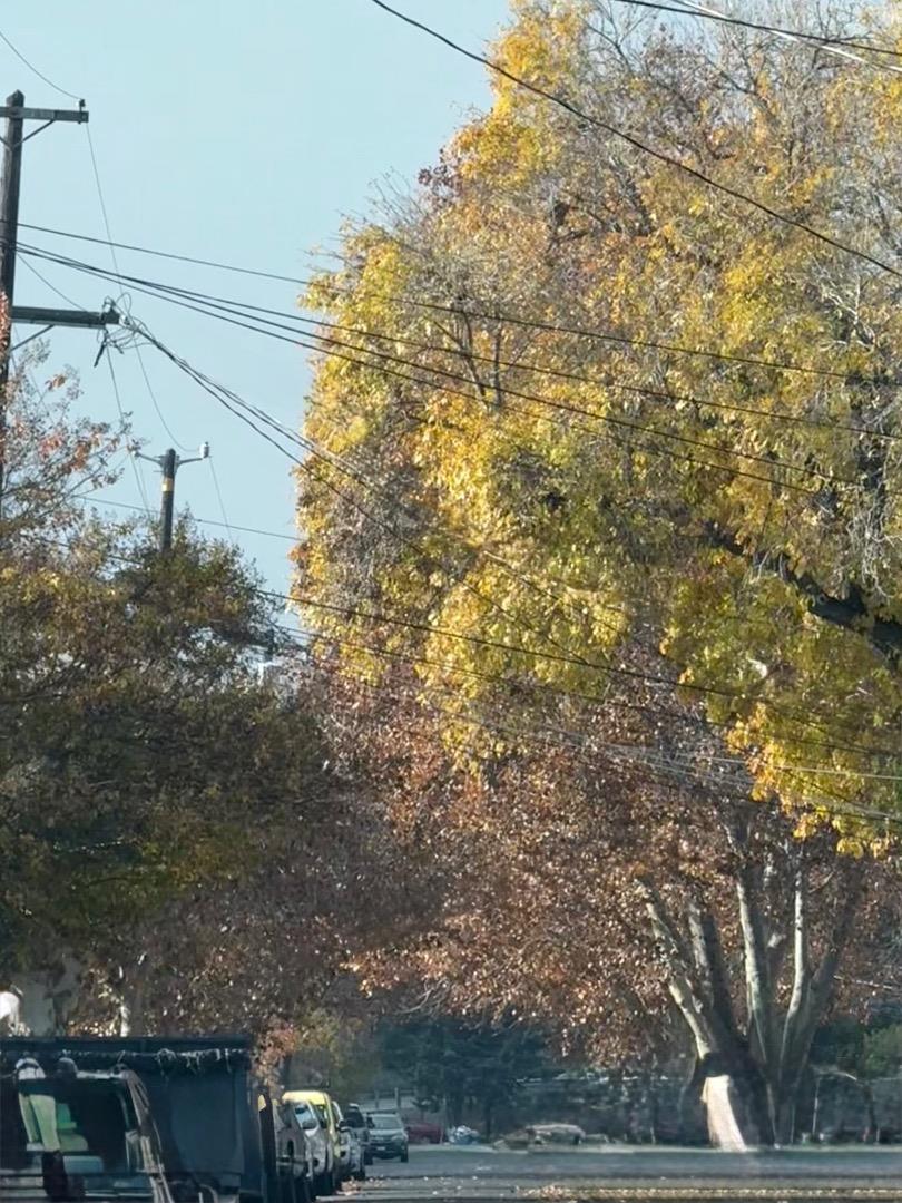 2403 Mountain View Drive, Concord, CA, 94520