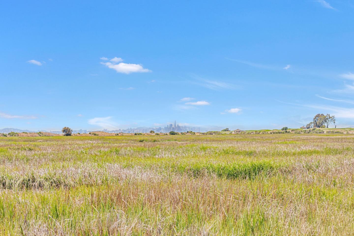 Detail Gallery Image 55 of 55 For 2213 Wigeon Ct, San Leandro,  CA 94579 - 3 Beds | 2/1 Baths