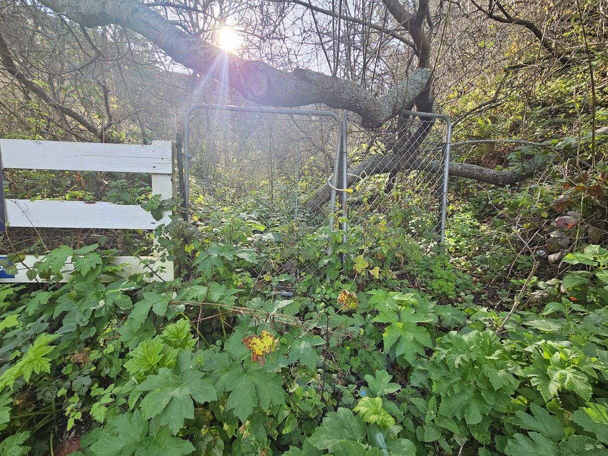 Detail Gallery Image 4 of 7 For 0 Balboa, Pacifica,  CA 94044 - – Beds | – Baths