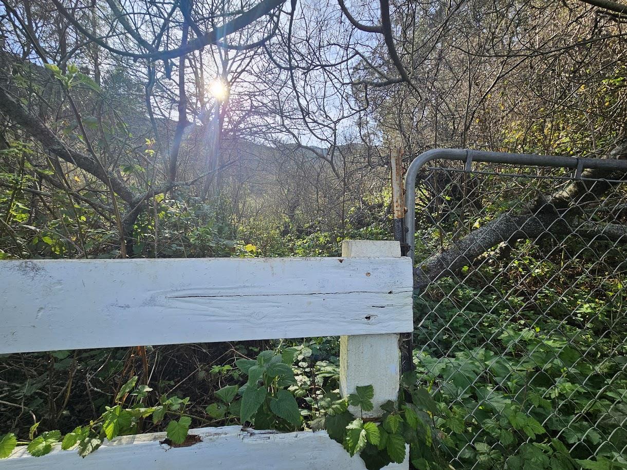 Detail Gallery Image 5 of 7 For 0 Portola, Pacifica,  CA 94044 - – Beds | – Baths