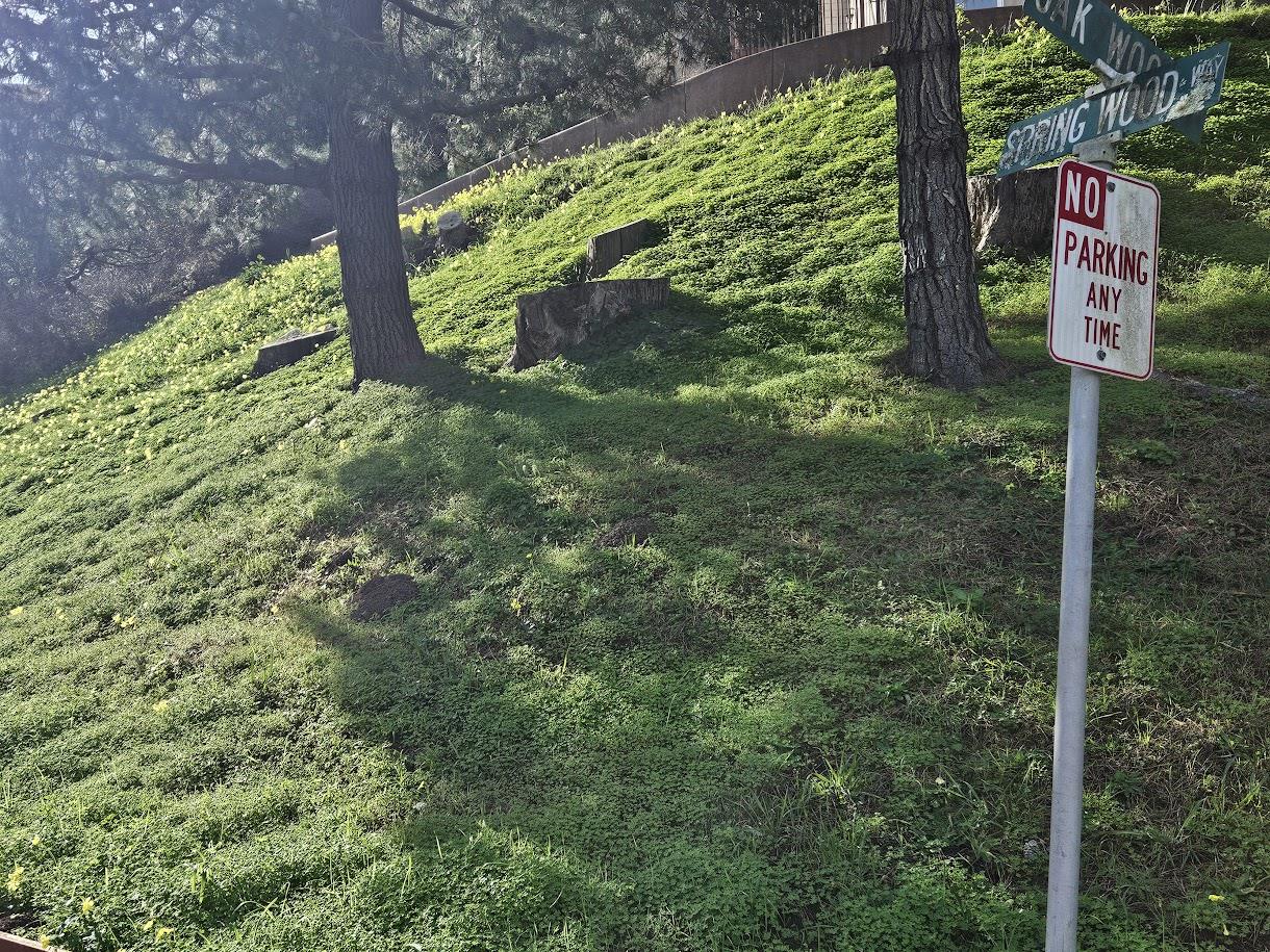 Detail Gallery Image 7 of 7 For 0 Portola, Pacifica,  CA 94044 - – Beds | – Baths