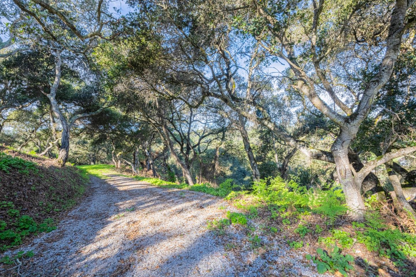 Detail Gallery Image 39 of 40 For 18924 Vierra Canyon Rd, Prunedale,  CA 93907 - 3 Beds | 2 Baths