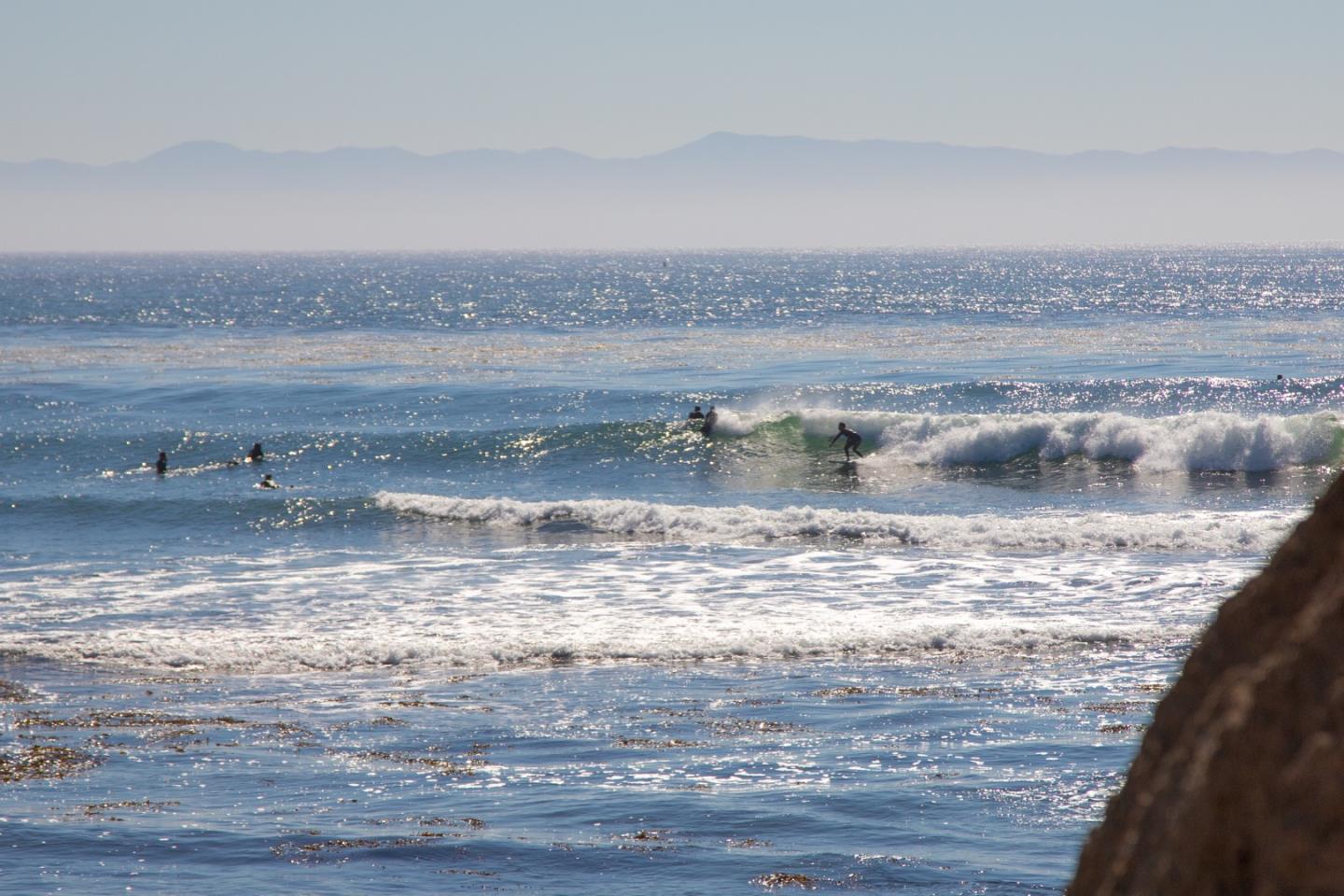 Detail Gallery Image 75 of 77 For 360 36th Ave, Santa Cruz,  CA 95062 - 8 Beds | 4 Baths