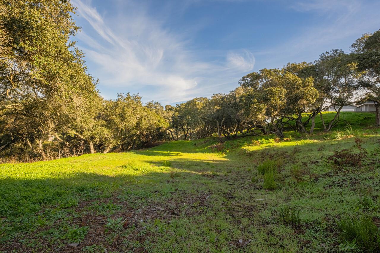 Detail Gallery Image 3 of 4 For 0 Vierra Canyon Rd, Salinas,  CA 93907 - – Beds | – Baths