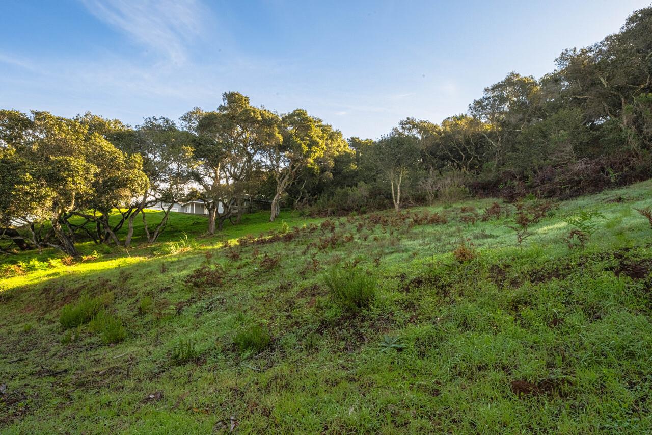 Detail Gallery Image 4 of 4 For 0 Vierra Canyon Rd, Salinas,  CA 93907 - – Beds | – Baths