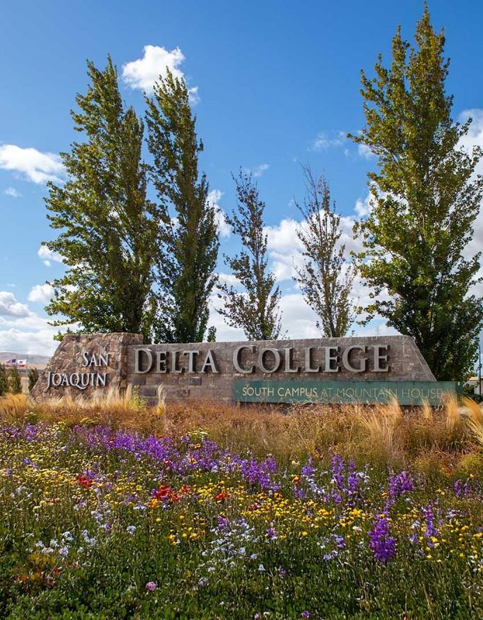 Detail Gallery Image 8 of 9 For 239 & 241 W Pasqua Gln, Mountain House,  CA 95391 - 4 Beds | 3/1 Baths