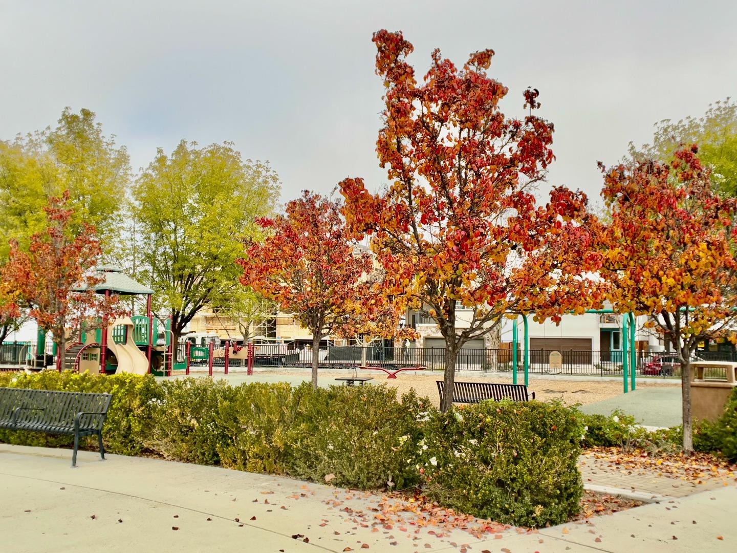 Detail Gallery Image 33 of 35 For 629 Adeline Ave, San Jose,  CA 95136 - 2 Beds | 2 Baths