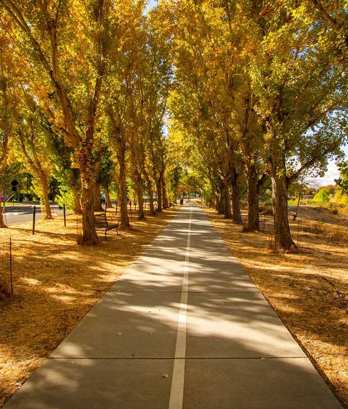 Detail Gallery Image 6 of 8 For 226 W Pasqua Gln, Mountain House,  CA 95391 - 4 Beds | 3 Baths