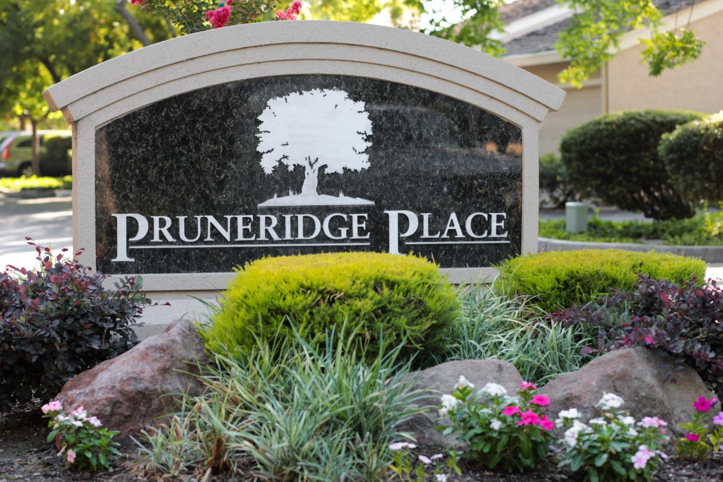 Photo #37: ML82029615 Listing: Photo #37