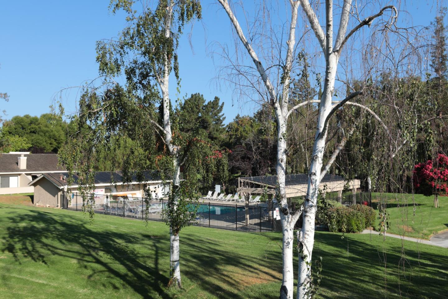 Photo #38: ML82029615 Listing: Photo #38