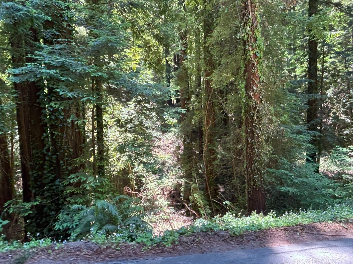 Detail Gallery Image 3 of 3 For 584 Hazel Dell Rd, Corralitos,  CA 95076 - – Beds | – Baths