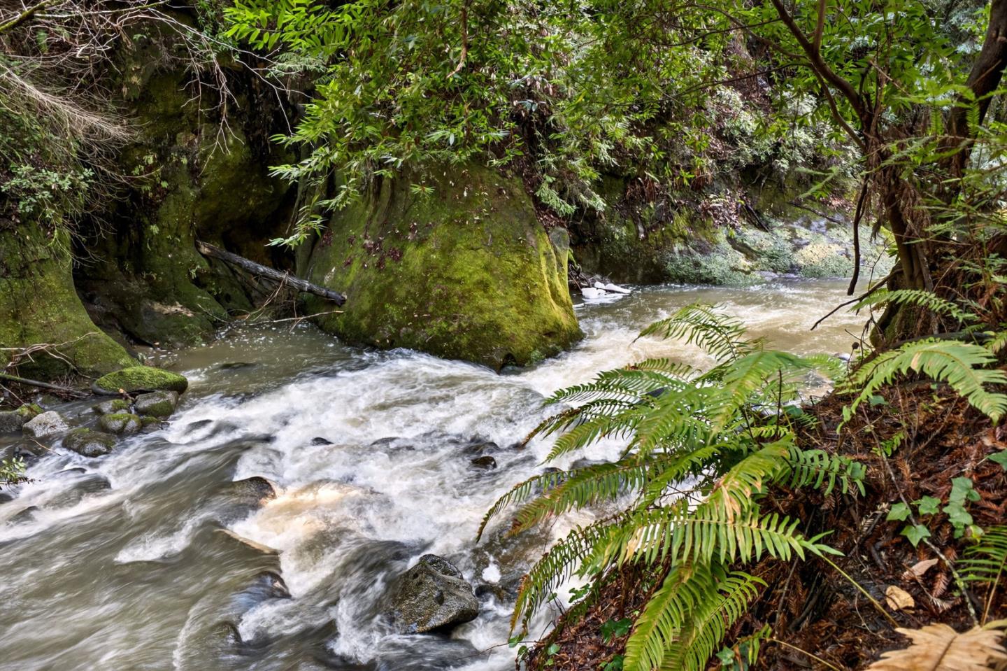 Detail Gallery Image 30 of 31 For 15194 Big Basin Way, Boulder Creek,  CA 95006 - 4 Beds | 3 Baths