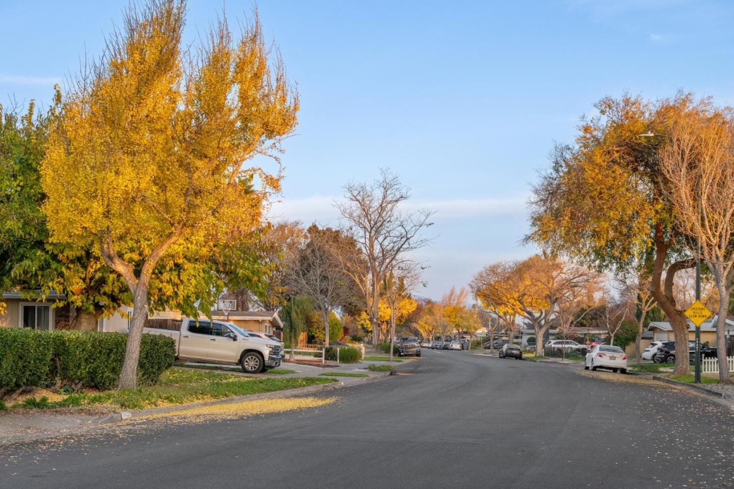 Detail Gallery Image 91 of 91 For 709 Lakebird Dr, Sunnyvale,  CA 94089 - 4 Beds | 3 Baths