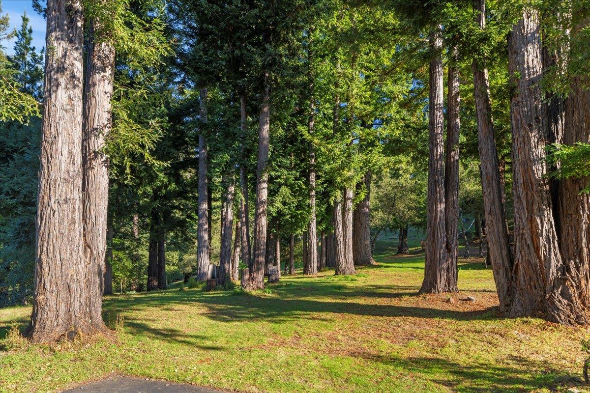 Detail Gallery Image 48 of 50 For 7 N Name Rd, Los Gatos,  CA 95033 - 3 Beds | 3 Baths