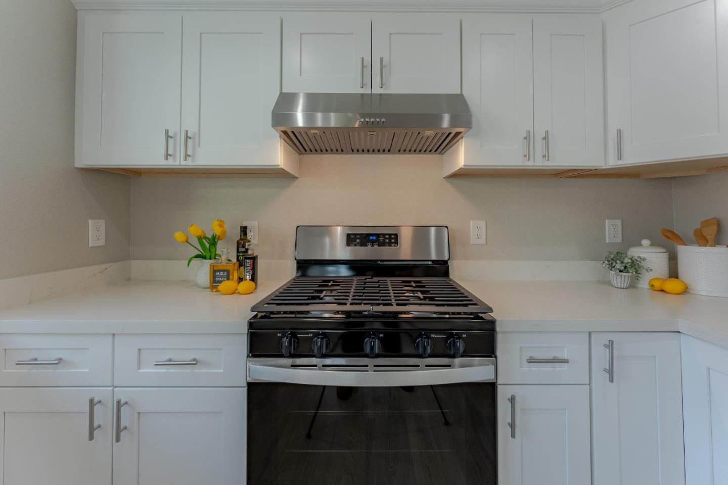 Detail Gallery Image 13 of 30 For 1549 Terilyn Ave, San Jose,  CA 95122 - 3 Beds | 1 Baths