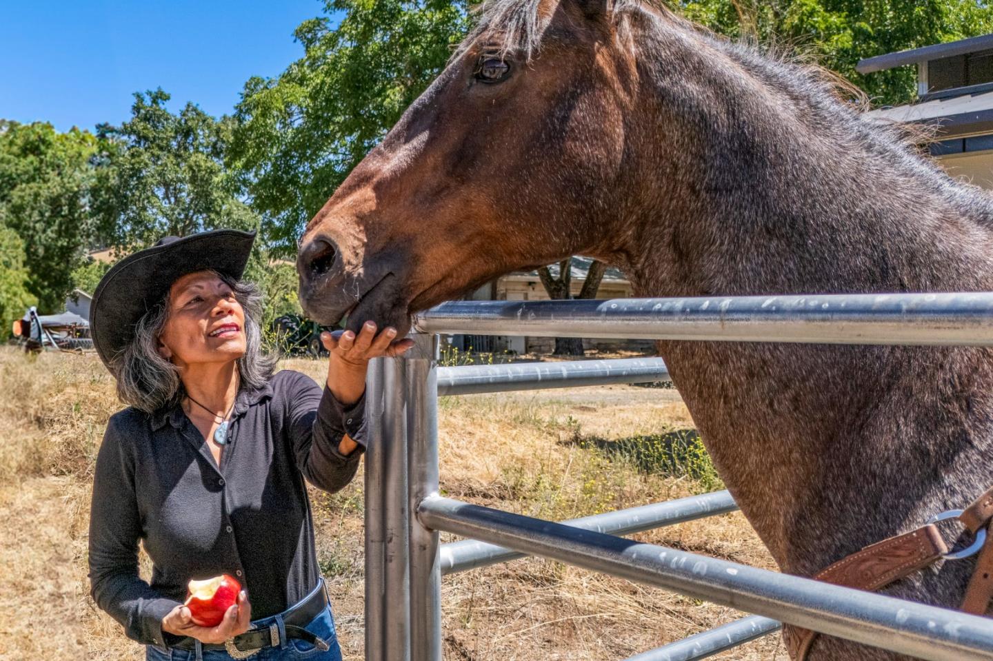 Detail Gallery Image 14 of 24 For 23785 Mckean Rd, San Jose,  CA 95141 - 1 Beds | 1 Baths
