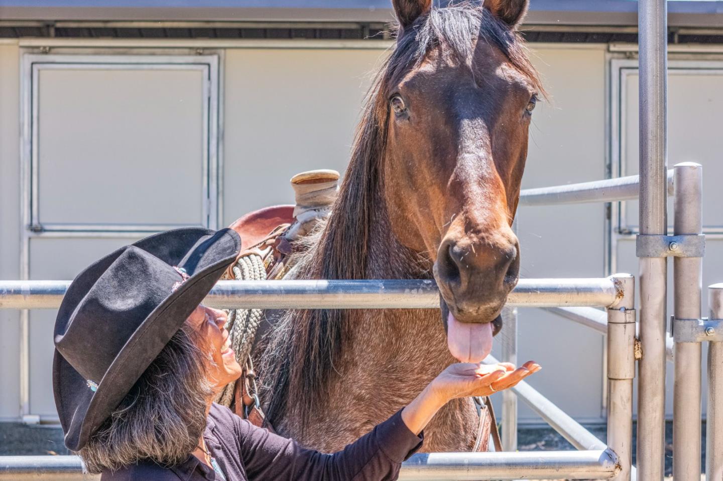 Detail Gallery Image 24 of 24 For 23785 Mckean Rd, San Jose,  CA 95141 - 1 Beds | 1 Baths