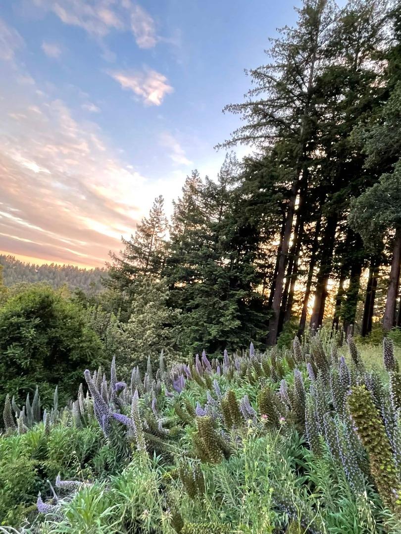 Detail Gallery Image 46 of 46 For 132 Pax Place Ct, Aptos,  CA 95003 - 3 Beds | 3 Baths