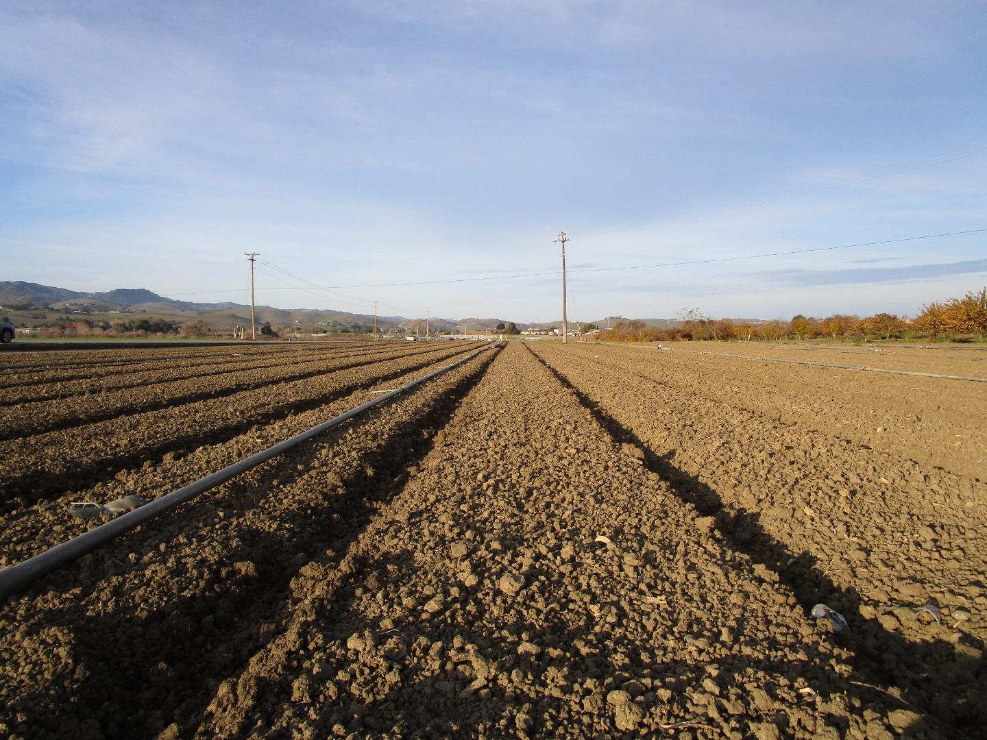 Detail Gallery Image 3 of 10 For 0 Ladd Ln, Hollister,  CA 95023 - – Beds | – Baths