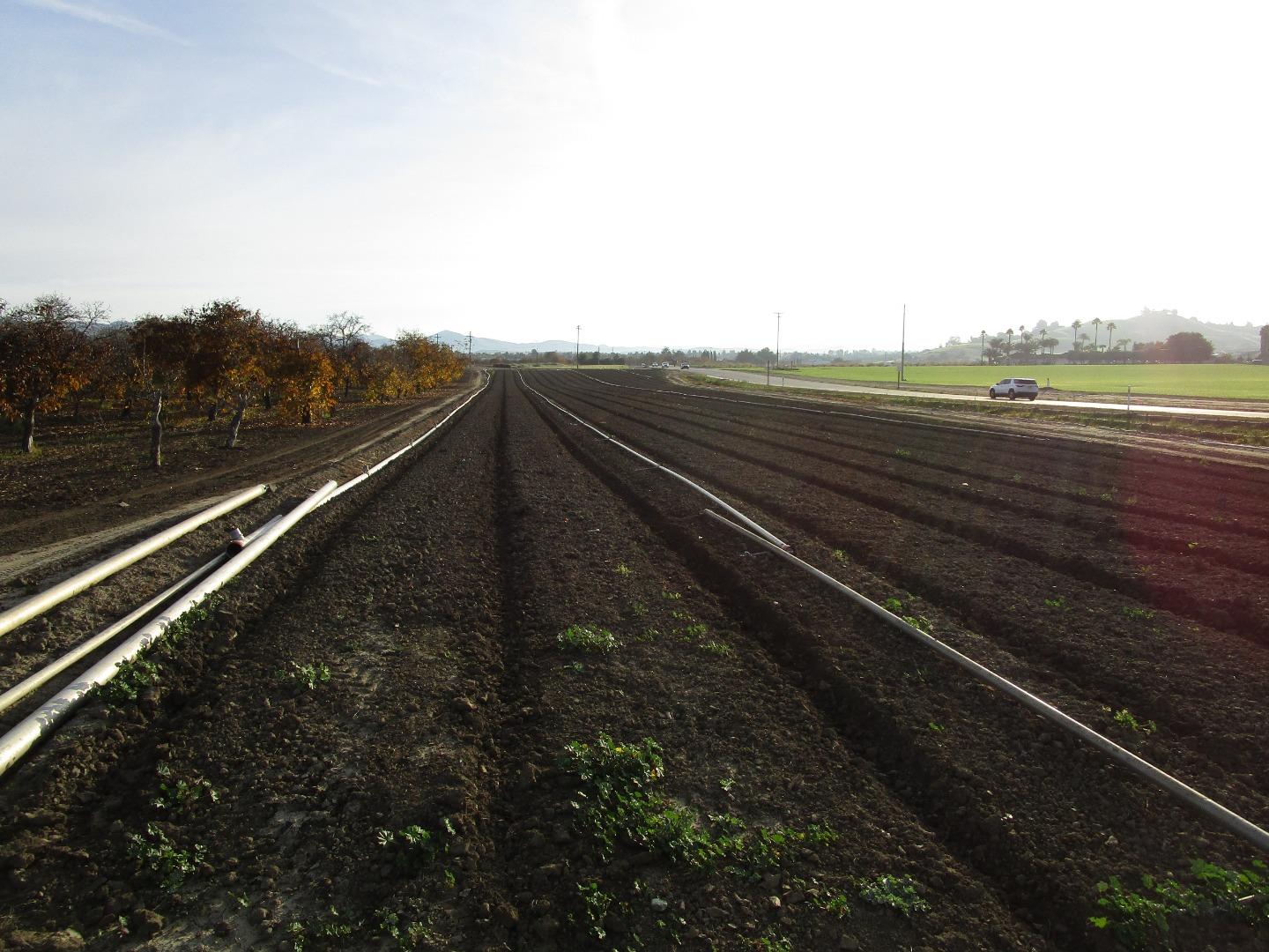 Detail Gallery Image 9 of 10 For 0 Ladd Ln, Hollister,  CA 95023 - – Beds | – Baths