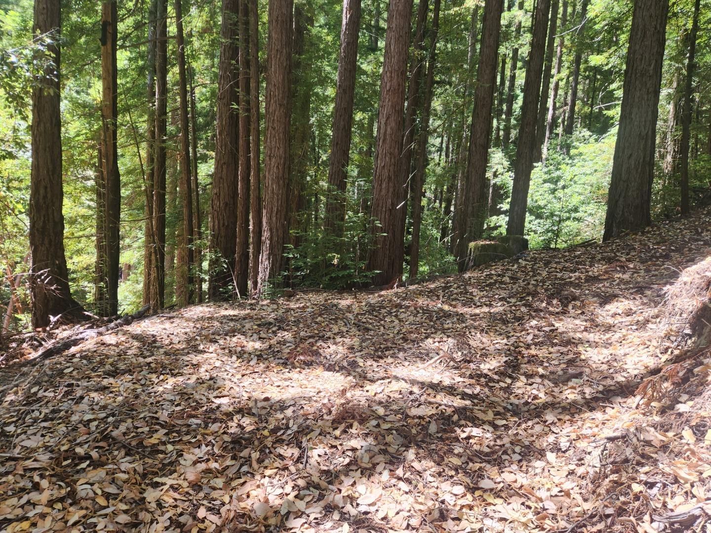 Detail Gallery Image 4 of 6 For 510 East Rd, Boulder Creek,  CA 95006 - – Beds | – Baths